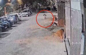 11वीं मंजिल से गिरकर लड़की की मौत, जांच में जुटी पुलिस