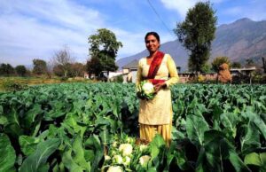 उद्यानिकी एवं खाद्य प्र-संस्करण के क्षेत्र में जिस गति से मध्यप्रदेश ने अपनी पहचान राष्ट्रीय स्तर पर बनाई