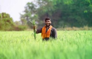किसानों की आय बढ़ाने और खेती को लाभकारी बनाने के लिए राज्य सरकार प्रतिबद्ध : कृषि मंत्री कंषाना