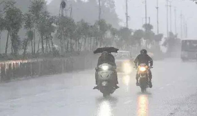barish-6.jpg