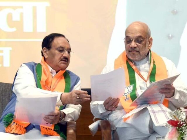 bjp2-5.jpg