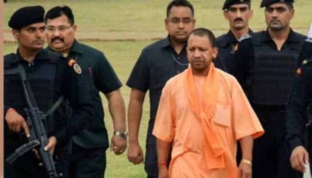 cm_yogi1-1.jpg