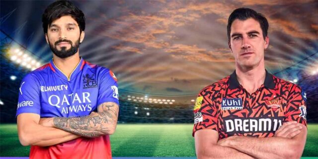 rcb01-1.jpg