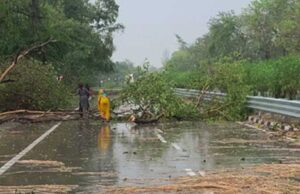 मध्यप्रदेश के 45 जिलों में आज आंधी-बारिश का अलर्ट! सनसनाती चलेंगी हवाएं, मानसून को लेकर भी आया बड़ा अपडेट