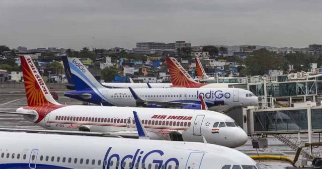indigo1.jpg