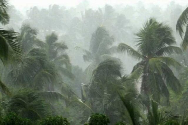 rain_A_41_1.jpg