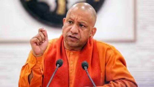 yogi1-6.jpg