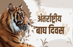 अंतर्राष्ट्रीय बाघ दिवस पर राज्य स्तरीय कार्यक्रम में शामिल होंगे सीएम डॉ. यादव