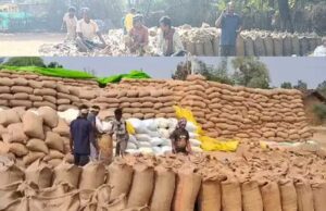 प्रशासन का धान घोटाले में बड़ा एक्शन, दोषियों की संपत्ति होगी नीलाम, 6526 क्विंटल धान शॉर्टेज का है मामला