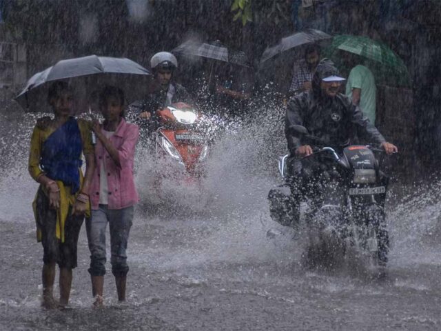 barish02.jpg