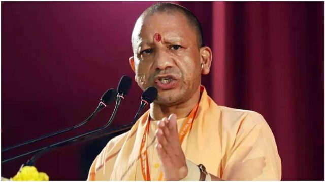 yogi2-1.jpg