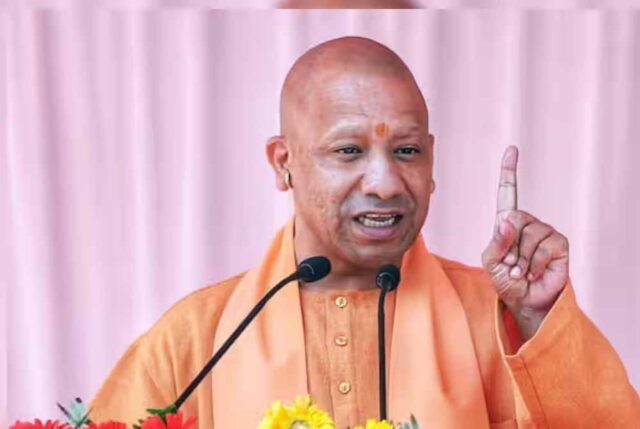yogi_cm_132_1-5.jpg