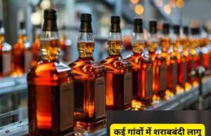 दमोह के 3 गांवों ने आपसी सहमति से शराबबंदी का फैसला, तोड़ा तो जेब ढीली
