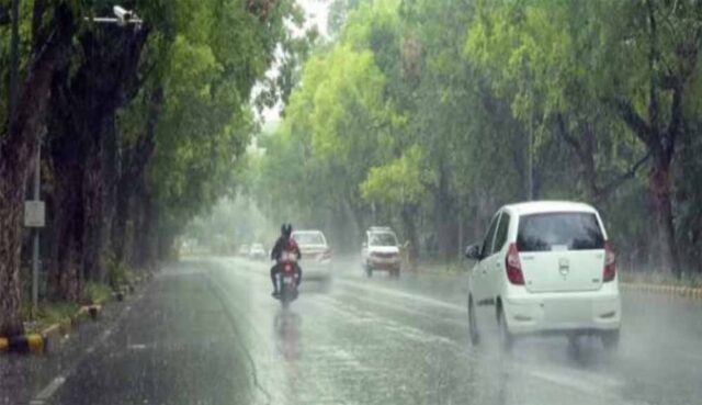 barish8-7.jpg