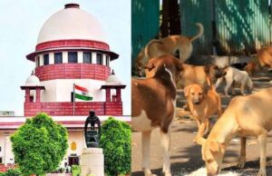 दिल्ली के कुत्तों के पक्ष में सुप्रीम कोर्ट का फैसला, मीलॉर्ड की अपील अस्वीकृत