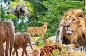 उज्जैन में होगी चिड़ियाघर-सह-सफारी केंद्र की स्थापना