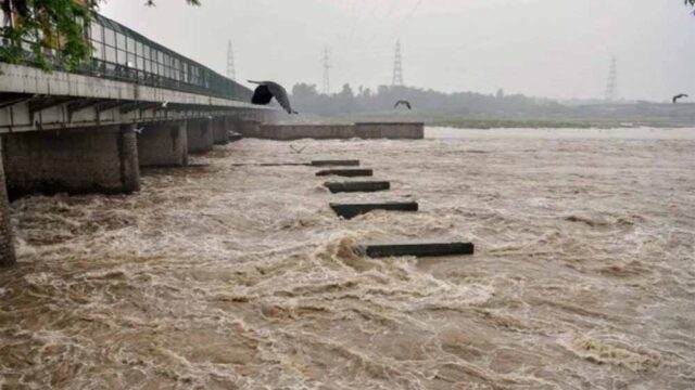 yamuna1.jpg