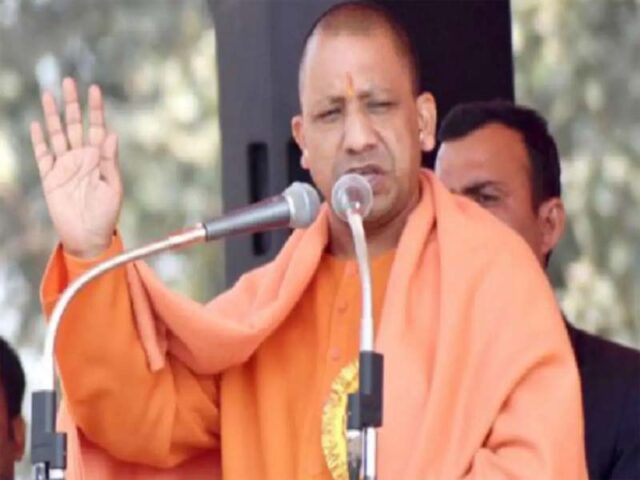 yogi-22.jpg
