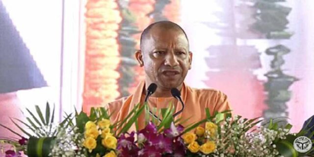yogi1-4.jpg