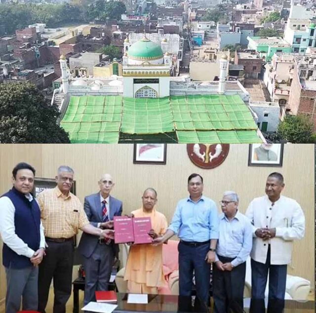 yogi2-19.jpg