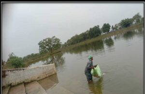 रायपुर: अमृत सरोवर बना आर्थिक उन्नति का जरिया, 650 महिलाओं को मिला रोजगार