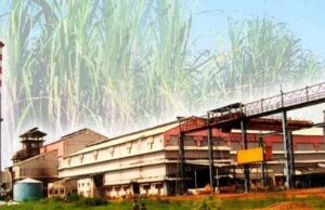भोरमदेव शक्कर कारखाना अब गैर-अंशधारी किसानों को भी देगा सदस्यता