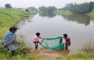 सफलता की कहानी: किशोरी अमृत सरोवर बना खुशहाली का स्रोत