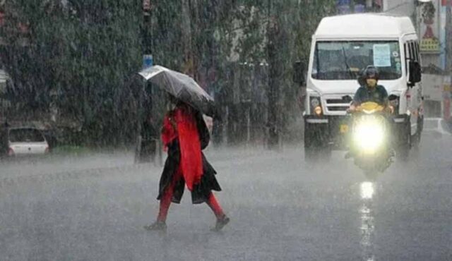 barish1-10.jpg