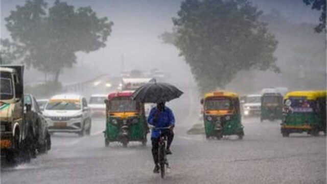 barish1-5.jpg