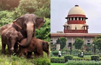 जामनगर को वन्यजीव संरक्षण हेतु सुप्रीम कोर्ट से हरी झंडी