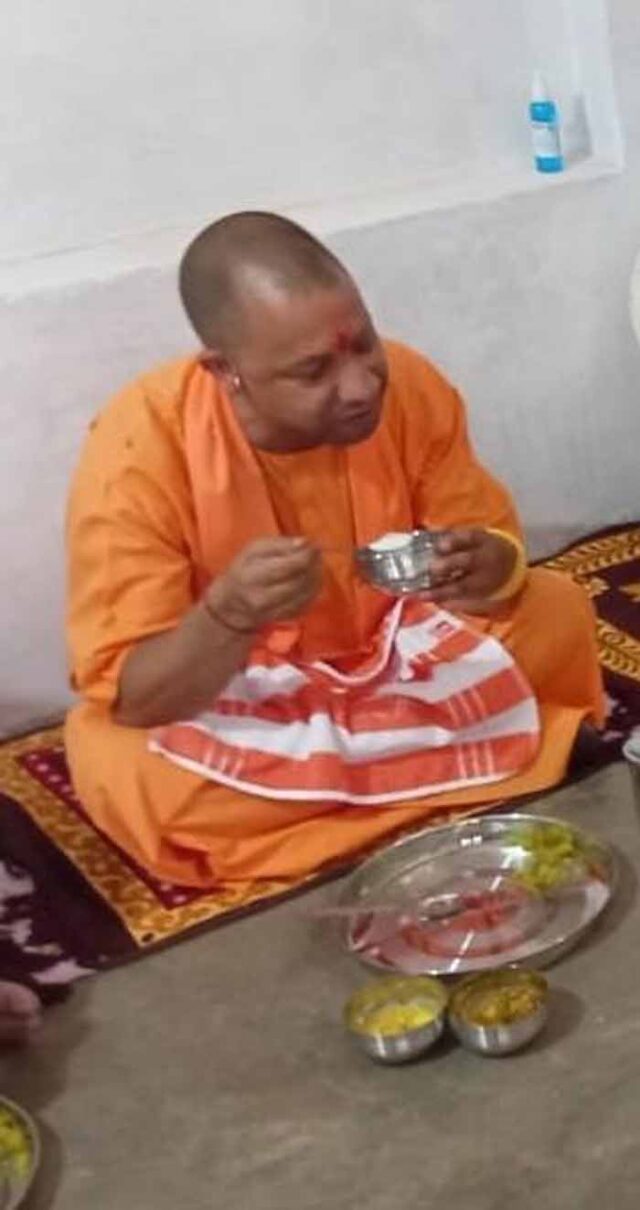 yogi1-3.jpg