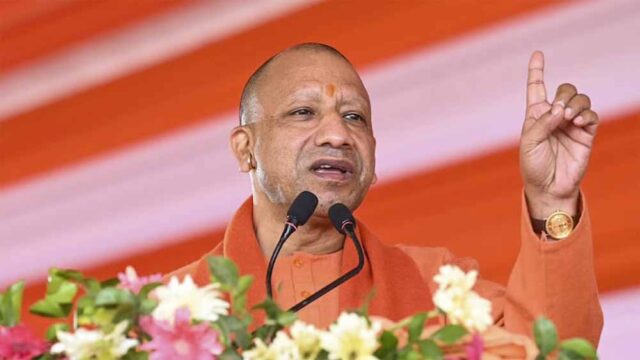 yogi1.jpg
