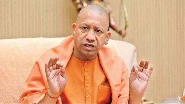 yogi4-3.jpg
