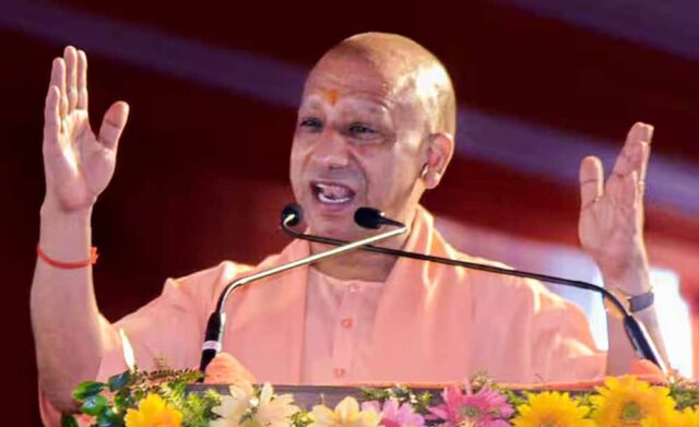 yogi_102_2-2.jpg