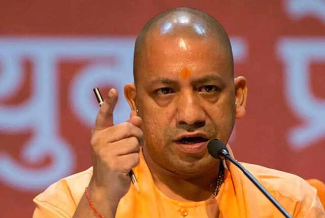 yogi_cm_132_3-5.jpg