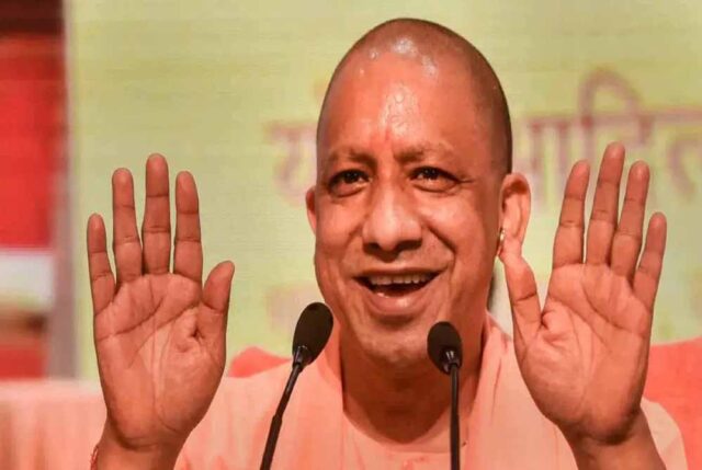 yogi_cm_132_5-7.jpg