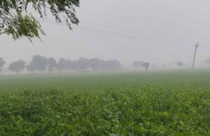 राजस्थान में ठंड का जोर, जानें कब तक जारी रहेगा असर और मिलेगी राहत
