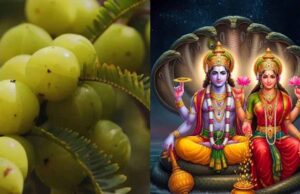 आंवला नवमी के दिन भूलकर भी न करें ये गलती, वरना चली जाएगी घर की लक्ष्मी