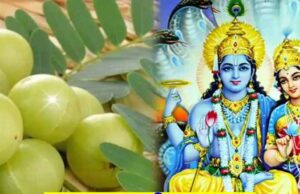 आंवला नवमी पर पढ़ें मां लक्ष्मी की पौराणिक कथा, दूर होगी दरिद्रता और मिलेगा आशीर्वाद