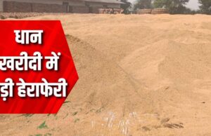 जबलपुर में 12 अधिकारियों के खिलाफ कार्रवाई, 16 करोड़ की संपत्ति जब्त, धान खरीदी में 43 करोड़ का घोटाला