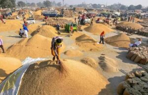 लखनऊ संभाग के उन्नाव, रायबरेली और लखनऊ में भी शनिवार से की जाएगी खरीद