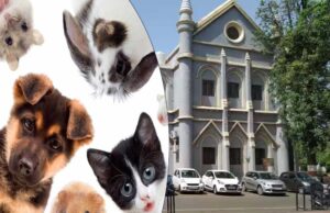 सरकारी क्वार्टर्स में पालतू जानवरों पर रोक? जबलपुर हाईकोर्ट ने कहा – आवास का उपयोग सिर्फ परिवार के लिए हो