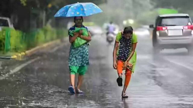 barish1-5.jpg