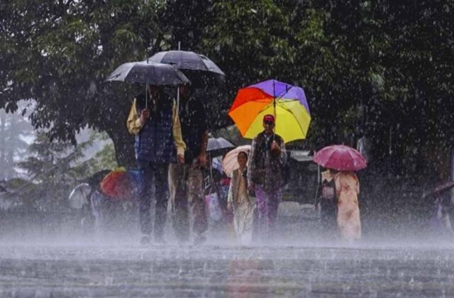 barish2-13.jpg
