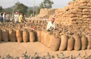 सत्र 2025-26 में 44127.91 मीट्रिक टन हुई धान खरीद, 2024-25 में इस अवधि तक की गई थी 25329.75 मीट्रिक टन की खरीद