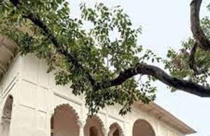 शीश महल में नया चेहरा: सरकारी अतिथि गृह और सार्वजनिक कैफेटेरिया जल्द खुलने वाला