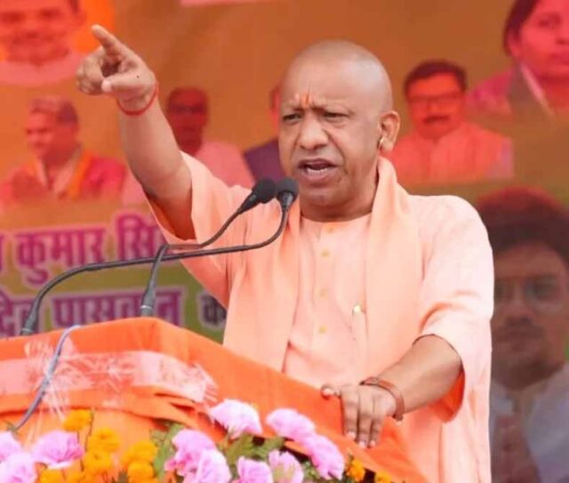 yogi1-21.jpg