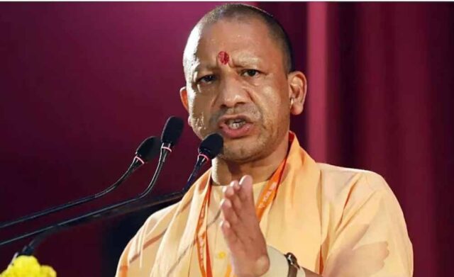 yogi_102_1.jpg