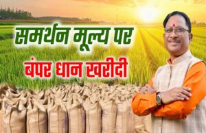 रायपुर: 15 नवंबर से शुरू होगी समर्थन मूल्य पर धान खरीदी, कॉल सेंटर नंबर भी उपलब्ध
