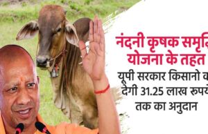 विशेष आर्टिकल-नंदिनी कृषक समृद्धि योजना: योगी सरकार का डेयरी सशक्तिकरण मॉडल और इसके व्यापक लाभ
